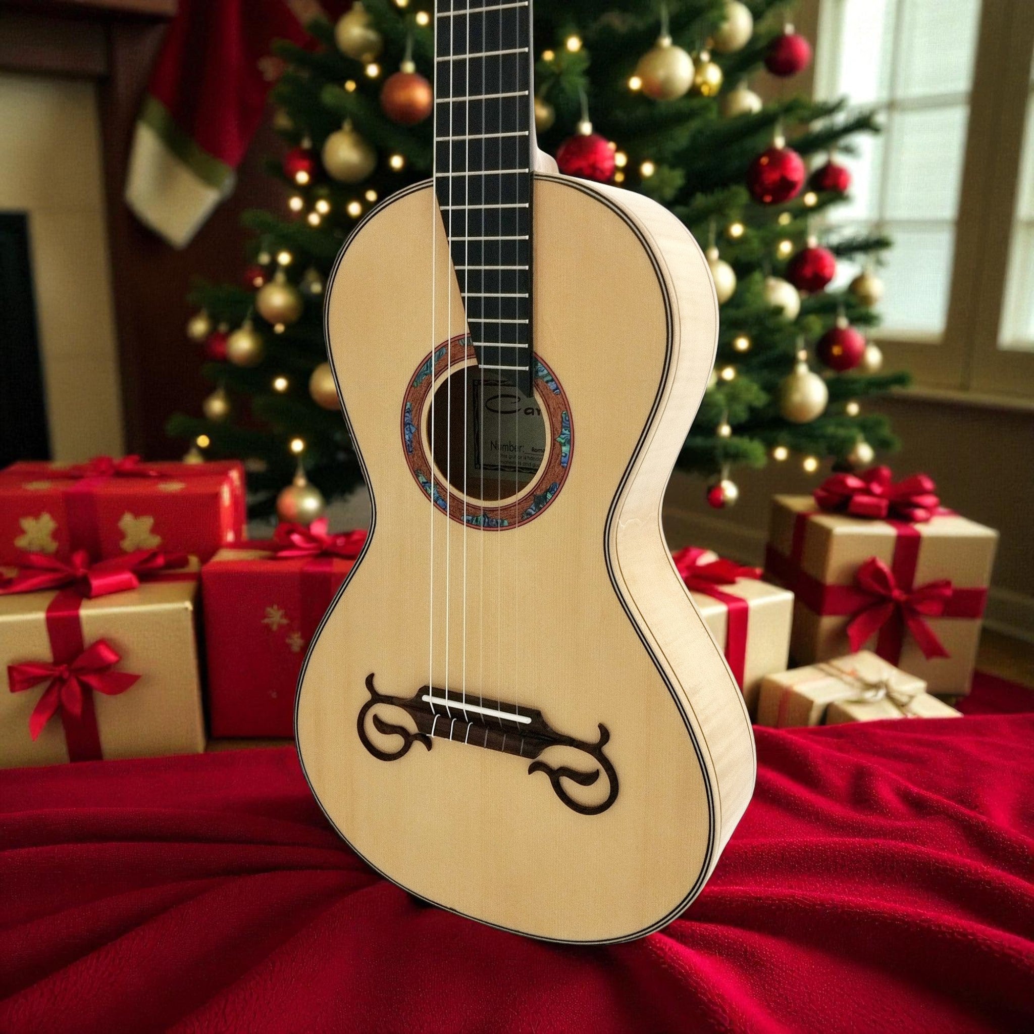 Classical & Nylon String Guitars