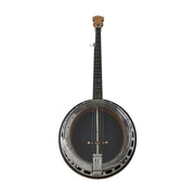 Caraya 5-String Clear Top Resonator Banjo - Tobacco Flame Maple BJ009A