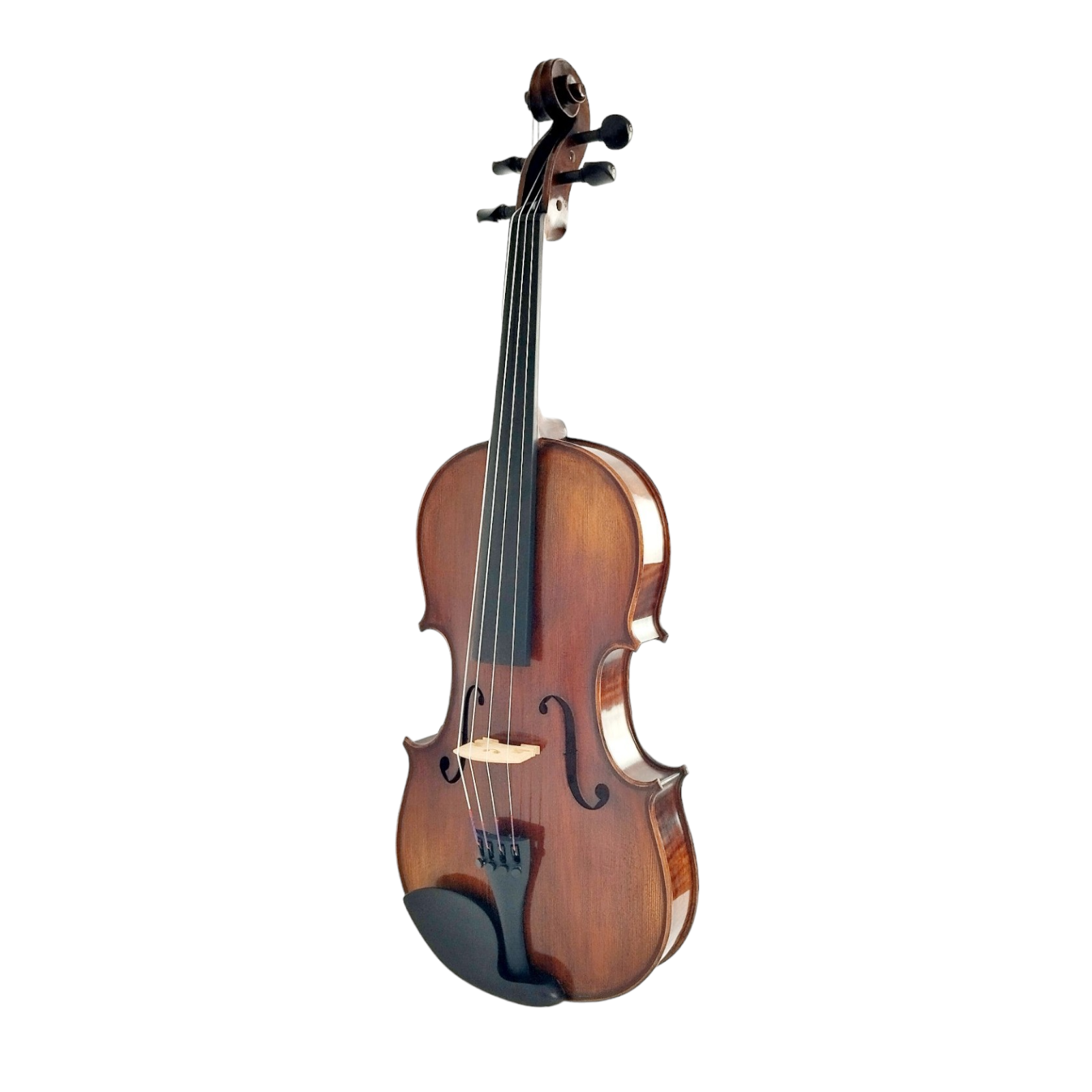 Enraptured Melodies: The AA80 Symphony Viola