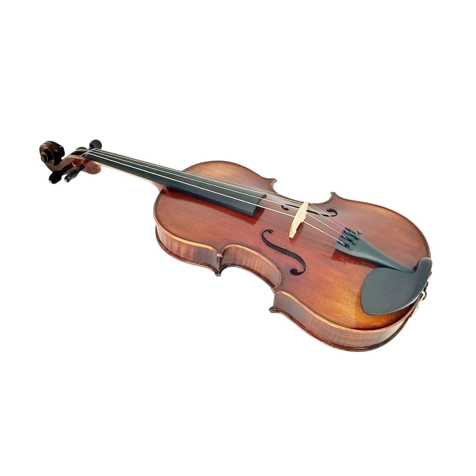 Enraptured Melodies: The AA80 Symphony Viola