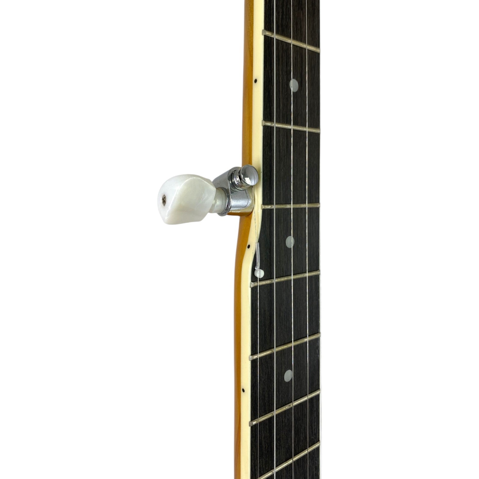 Caraya 5-String Mahogany Body Resonator Banjo - Natural BJ005