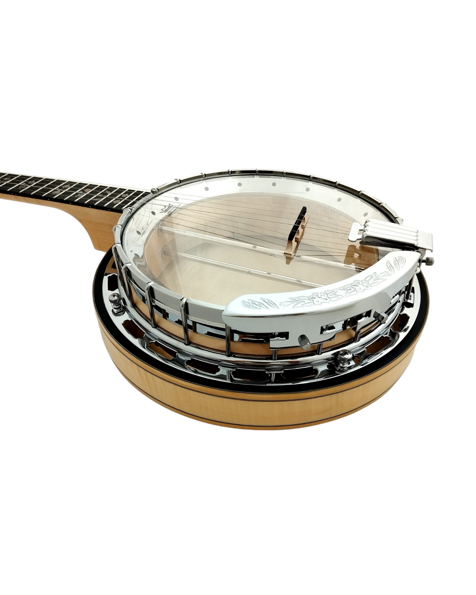 The Harmony of Tradition and Innovation BJ009AM 5-String Banjo with hardcase