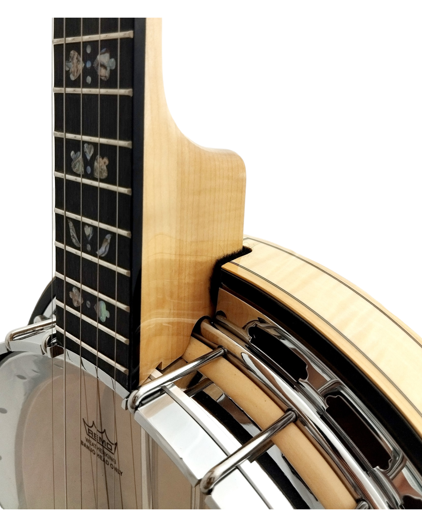 The Harmony of Tradition and Innovation BJ009AM 5-String Banjo with hardcase