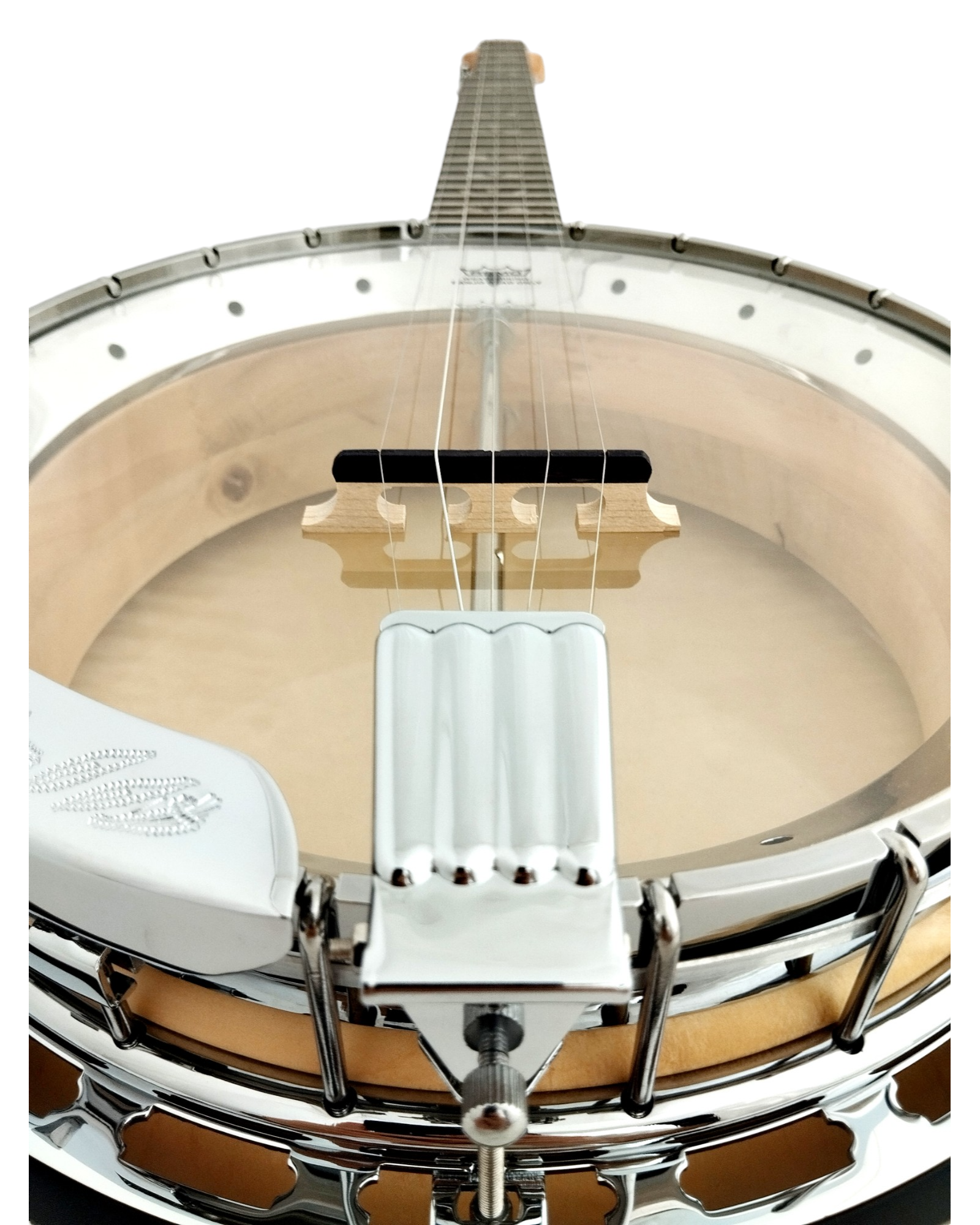 The Harmony of Tradition and Innovation BJ009AM 5-String Banjo with hardcase