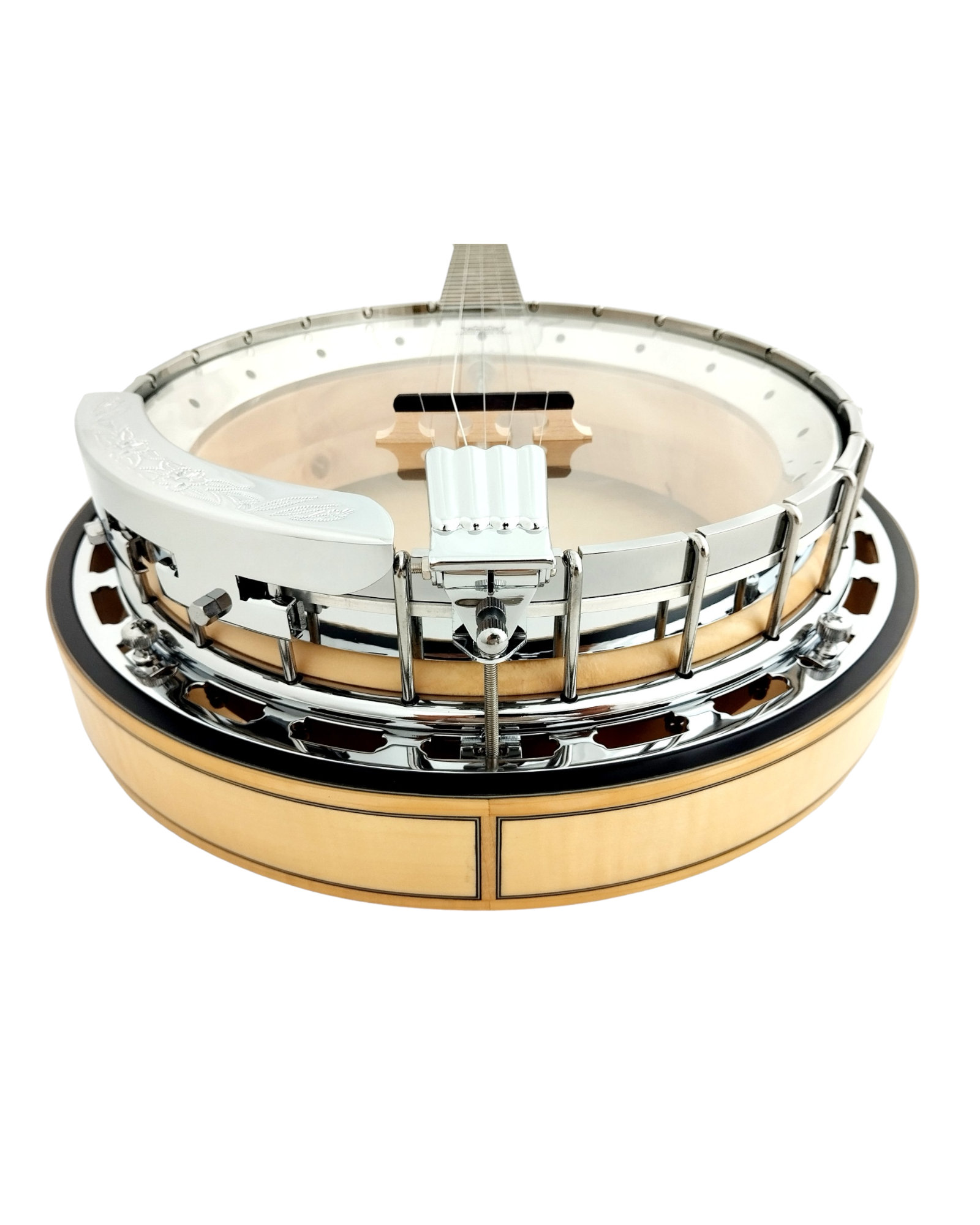 The Harmony of Tradition and Innovation BJ009AM 5-String Banjo with hardcase