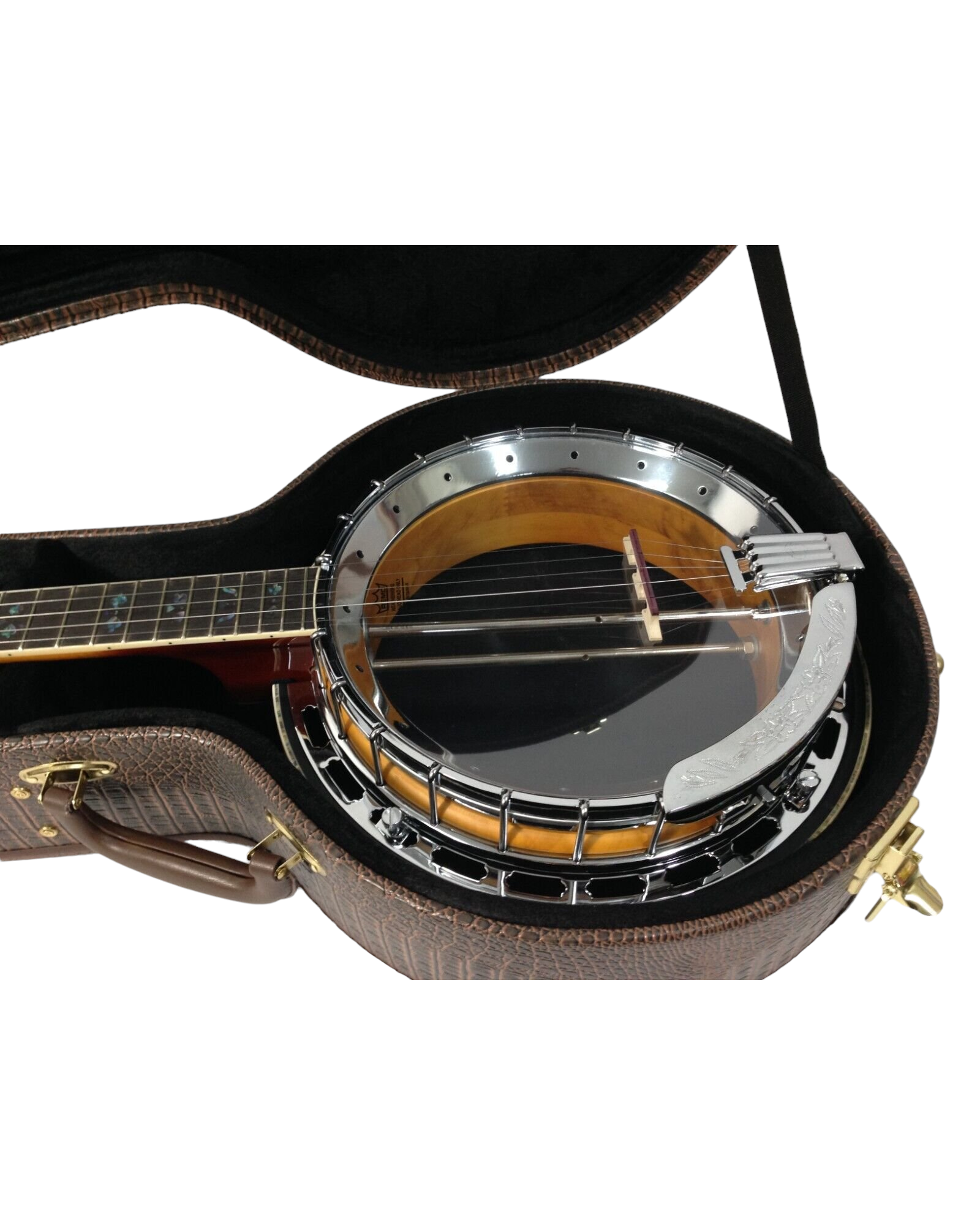 Haze HPBJ1910 Banjo Premium Hard Case