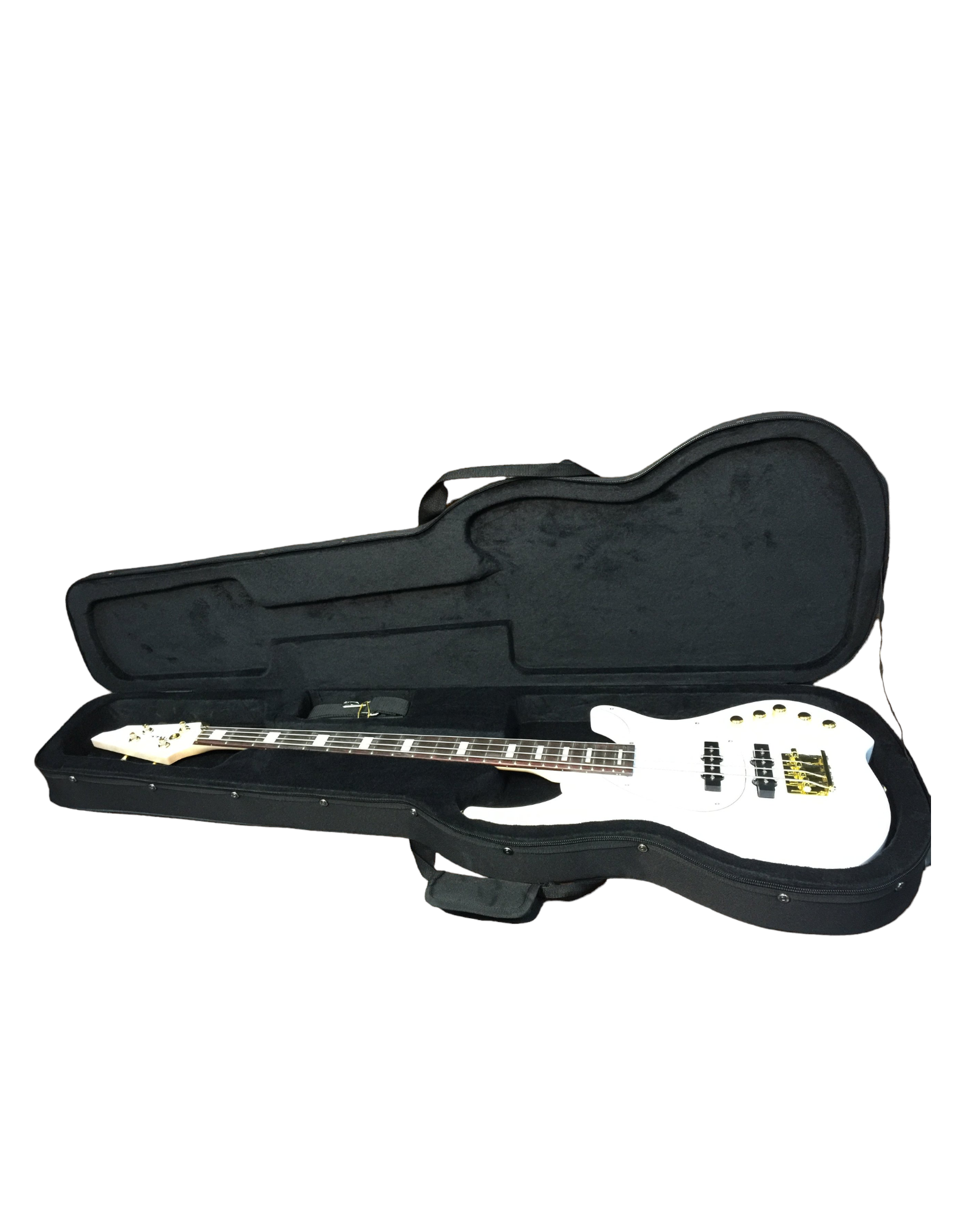 Haze E10B Ultra-Lightweight Electric Bass Guitar Hard Foam Case - Double Straps, Black