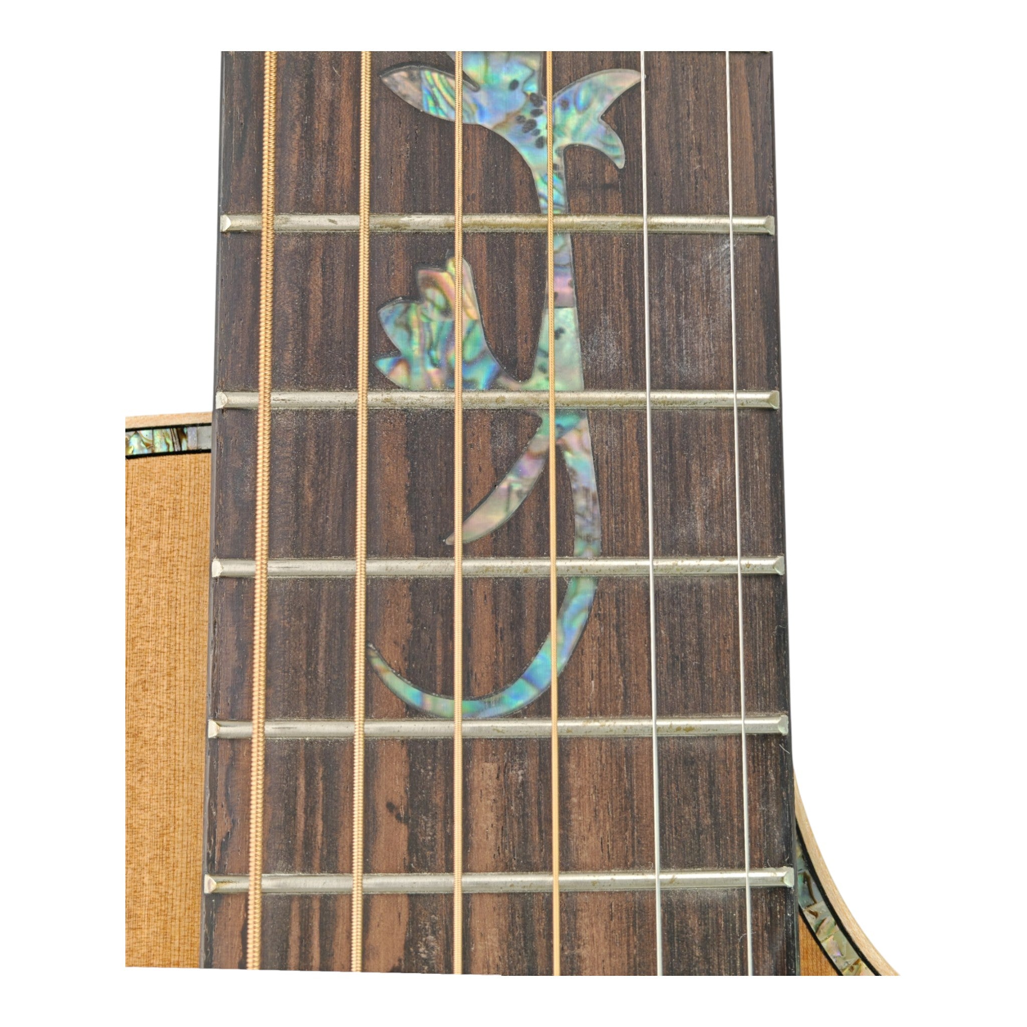 Haze HSC100 'Lotus Duo' Acoustic Guitar - Solid Cedar HCS100CEQ