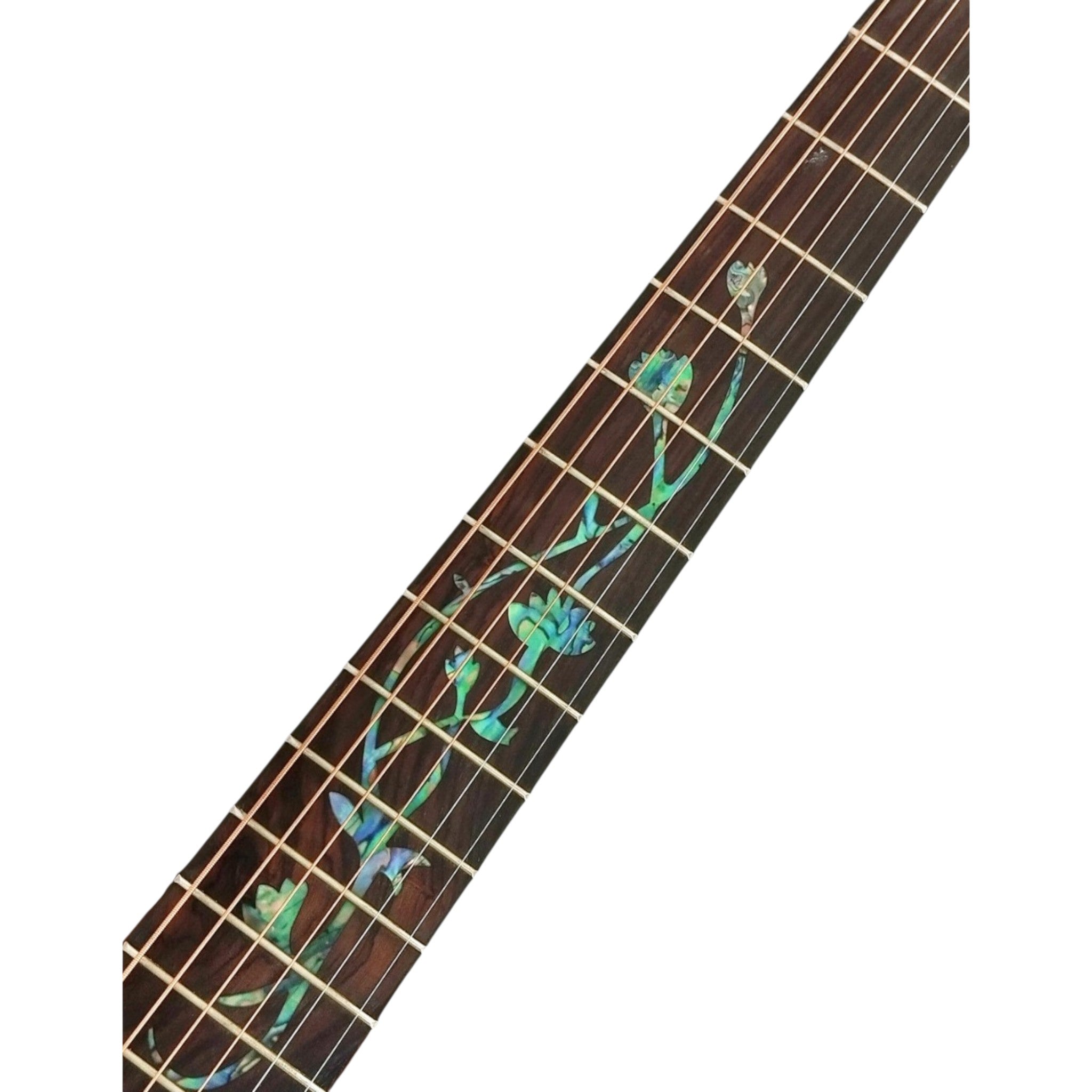 Haze Lotus CREQ Concert Acoustic-Electric Guitar – Solid Cedar Top, Gloss Natural, Abalone Vine Inlay