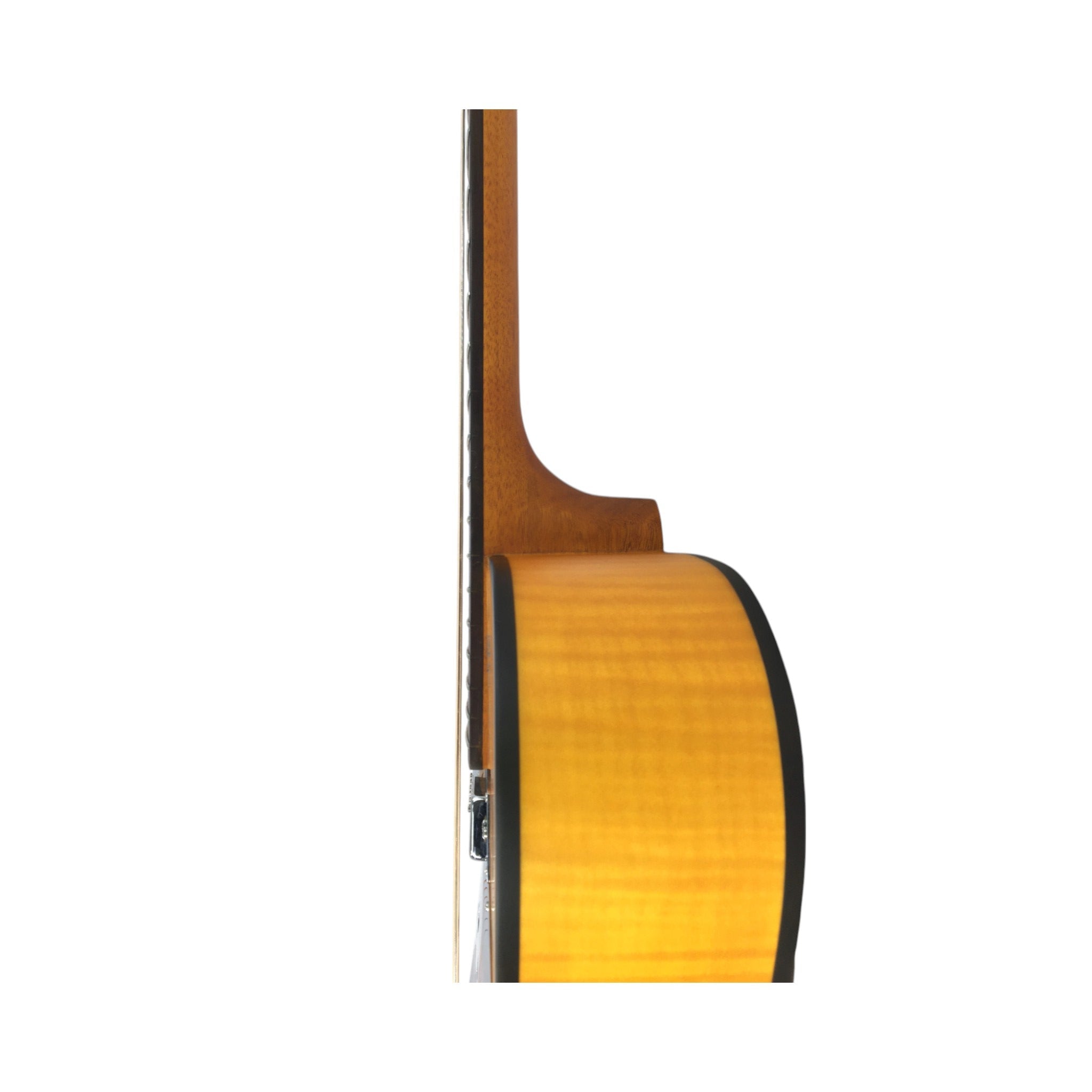 Haze SDG727 Roundneck Resonator Guitar, Flame Maple, with Pickups + Free Gig Bag