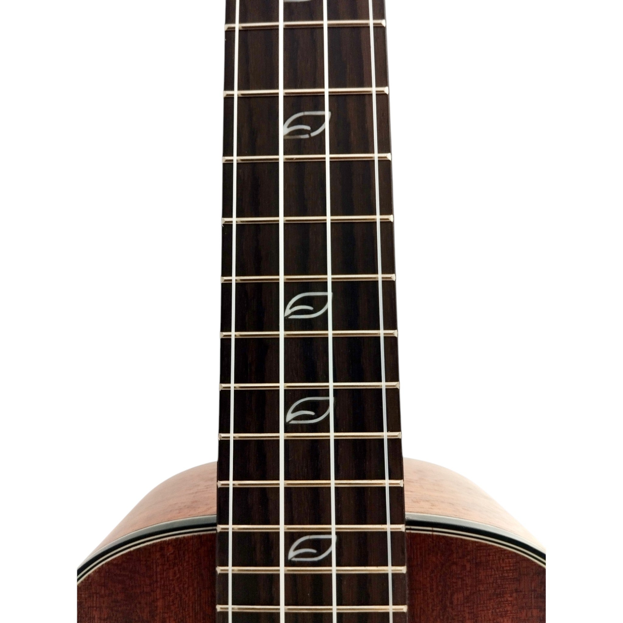 Leaf Series C100 All-Mahogany Concert Ukulele, Satin + 10mm Padded Gig Bag in Pink + Stand