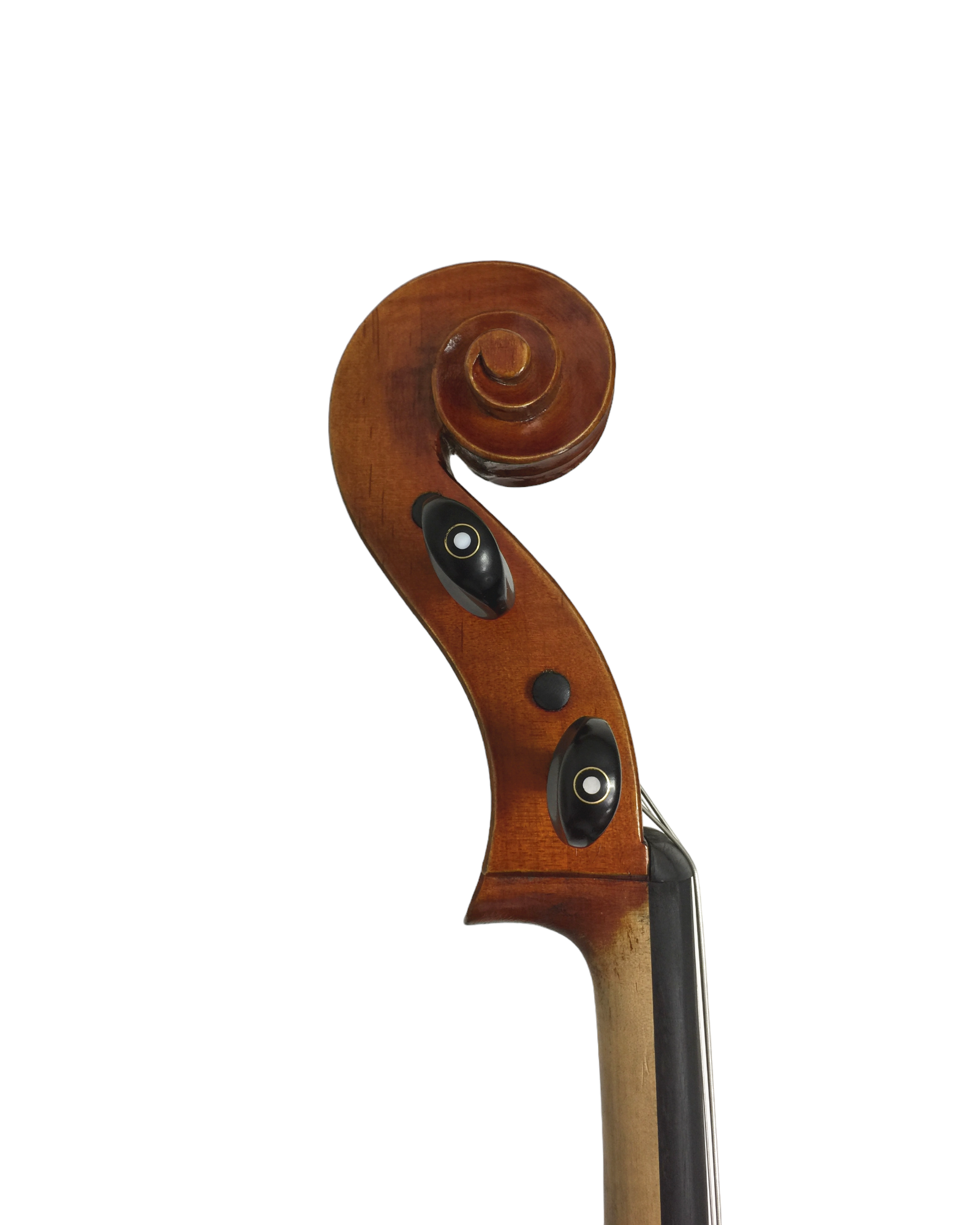 Symphony SJCE04 4/4 Solid wood handmade cello outfit, ebony fittings