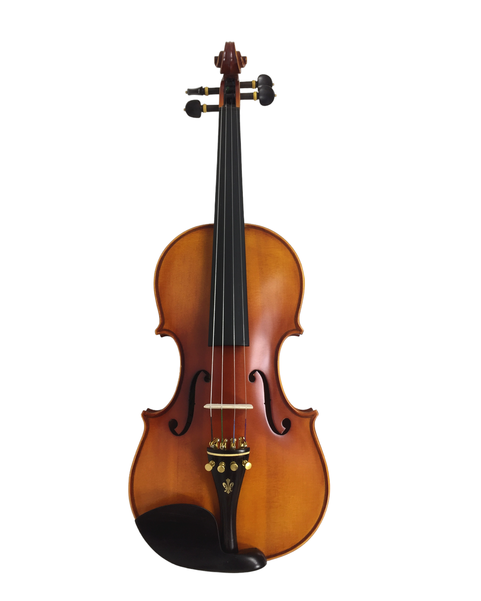 Symphony SJV01AA Solid Wood Handmade Violin Outfit, Ebony Fittings