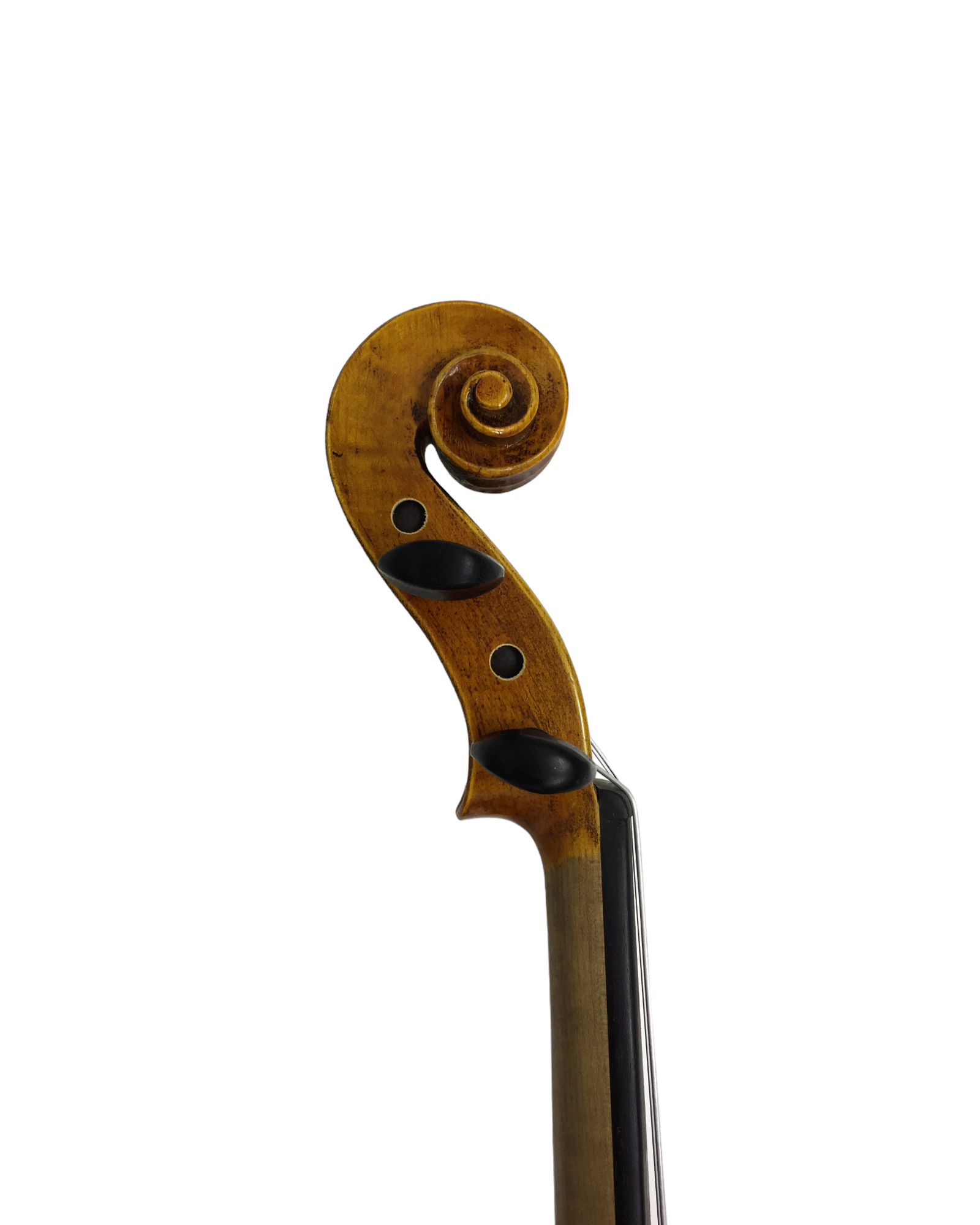 Symphony SJVA02AAA 16" Solid Wood Handmade Viola Outfit, Ebony Fittings