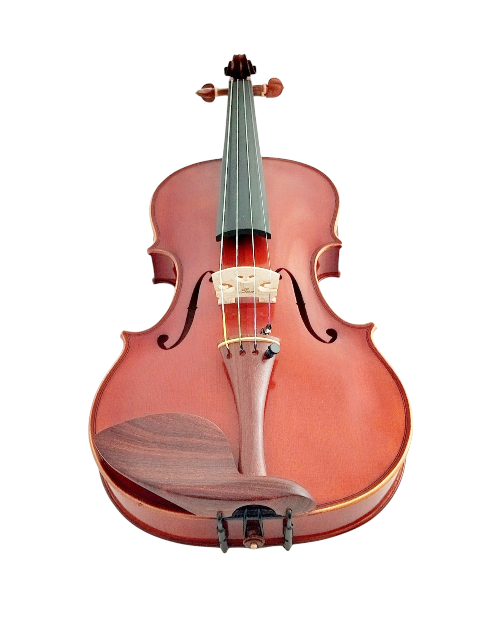 Full Size SRVA211442 Violin Outfit