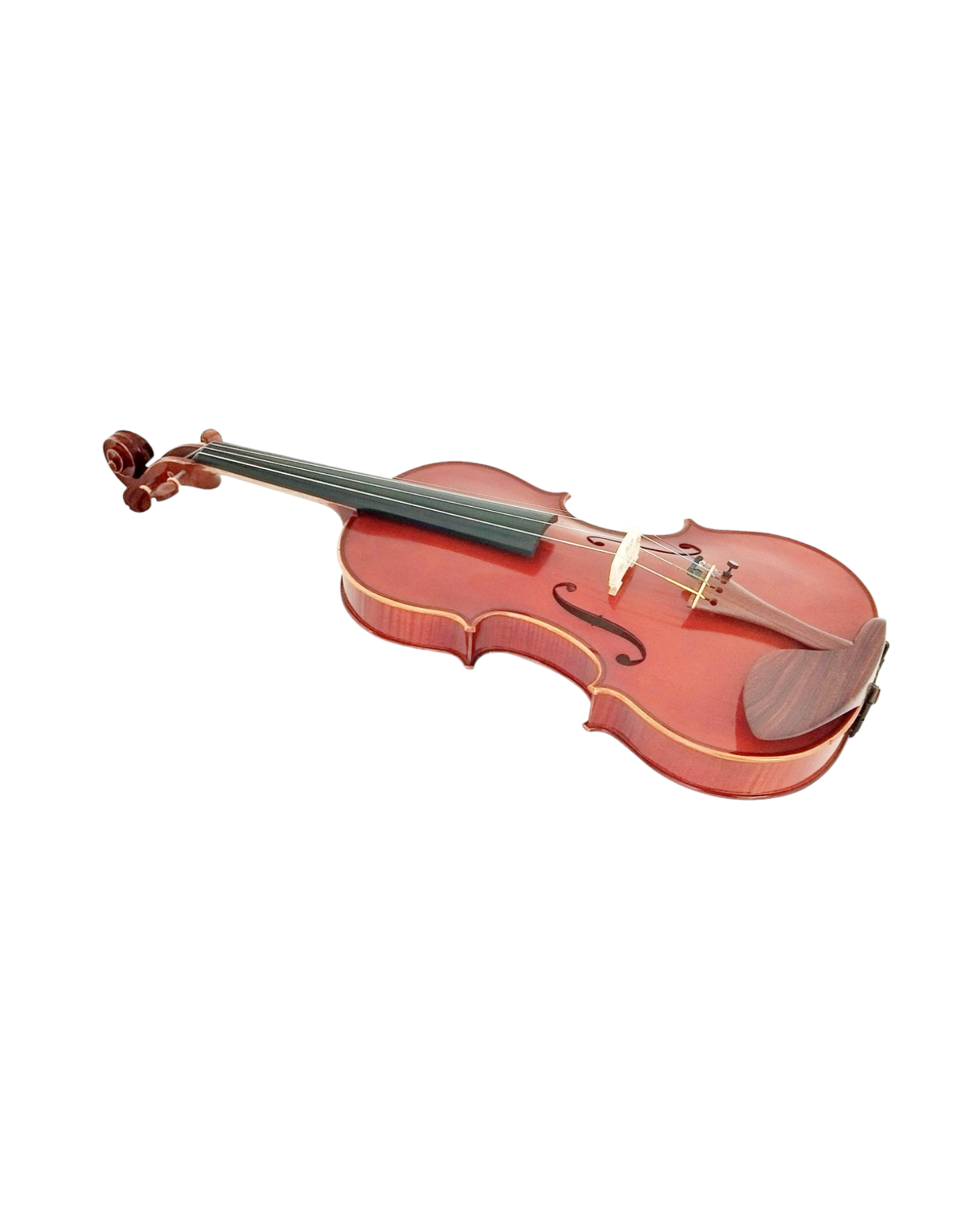 Full Size SRVA211442 Violin Outfit