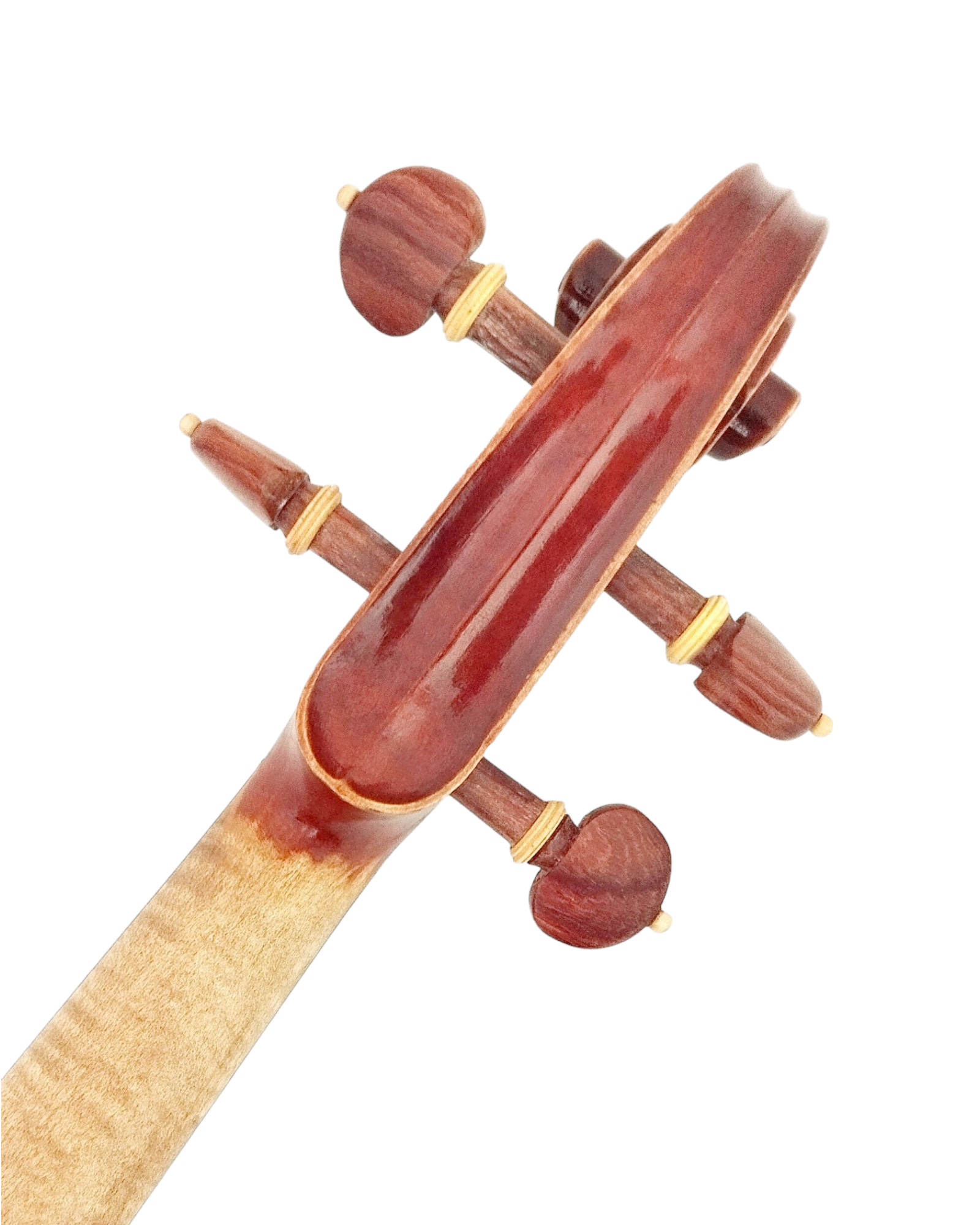 Full Size SRVA211442 Violin Outfit