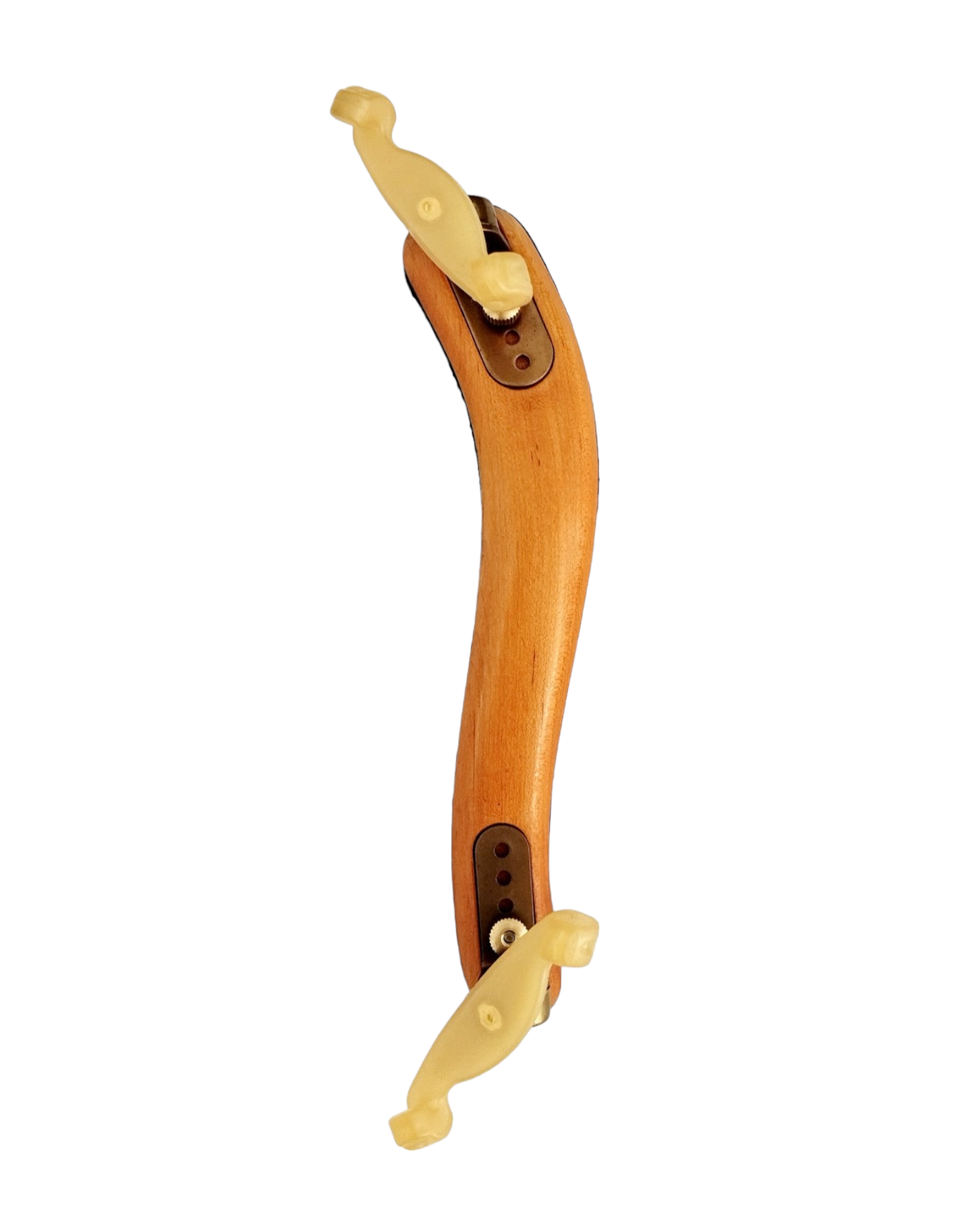 Full Size SRVA211442 Violin Outfit