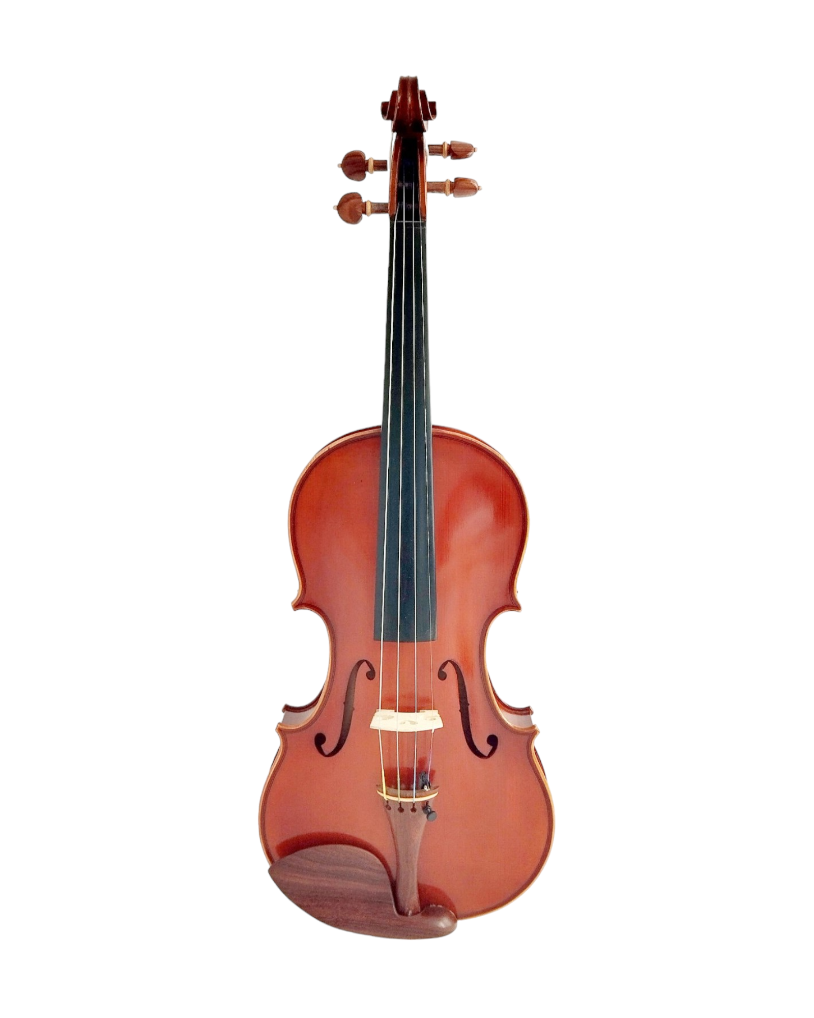 Full Size SRVA211442 Violin Outfit