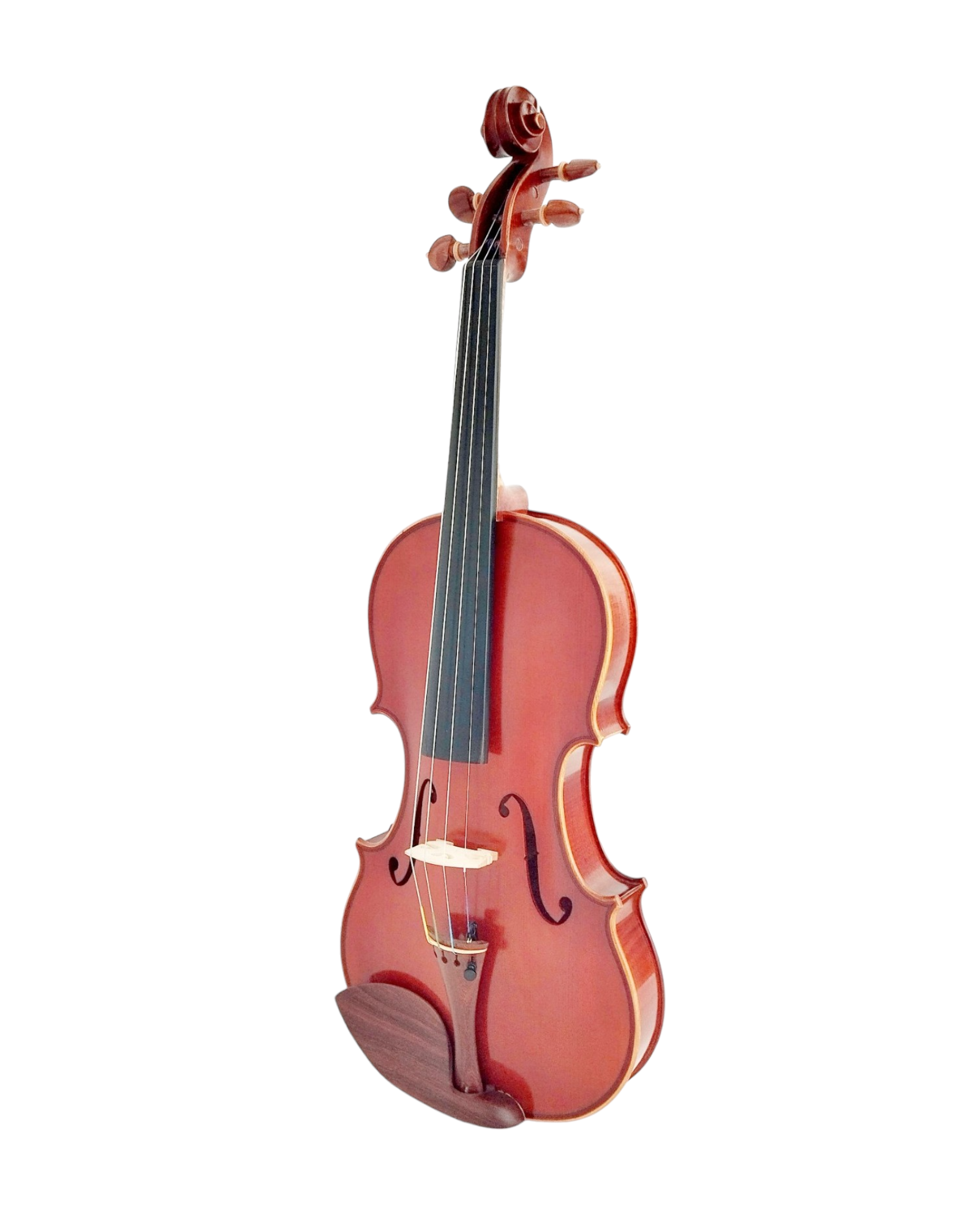 Full Size SRVA211442 Violin Outfit