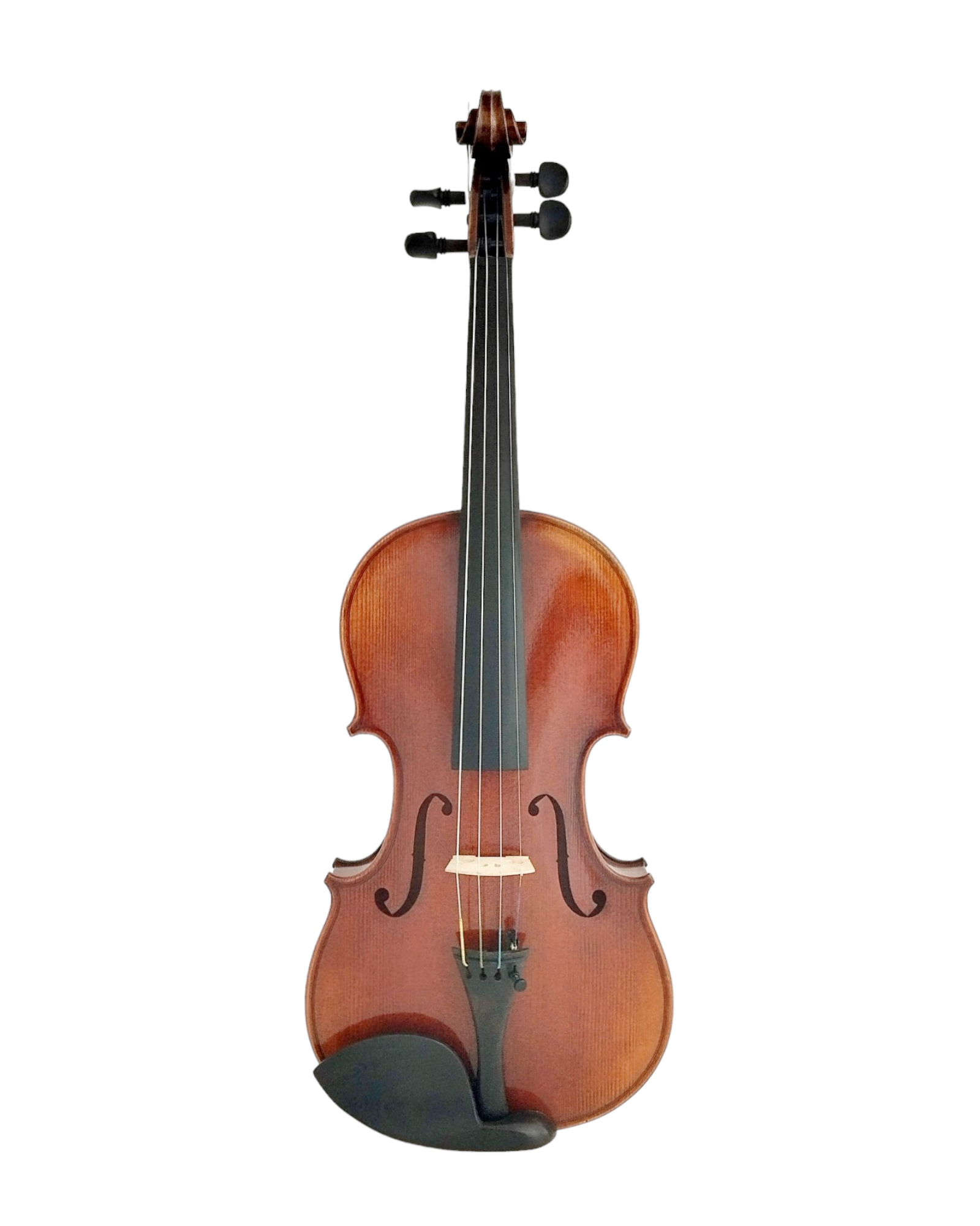 Full Size SRVA211443 Violin Outfit