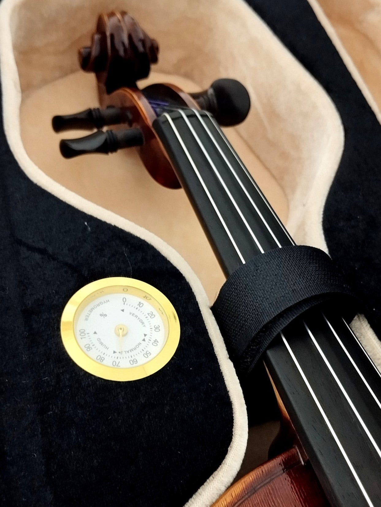 Full Size SRVA211443 Violin Outfit