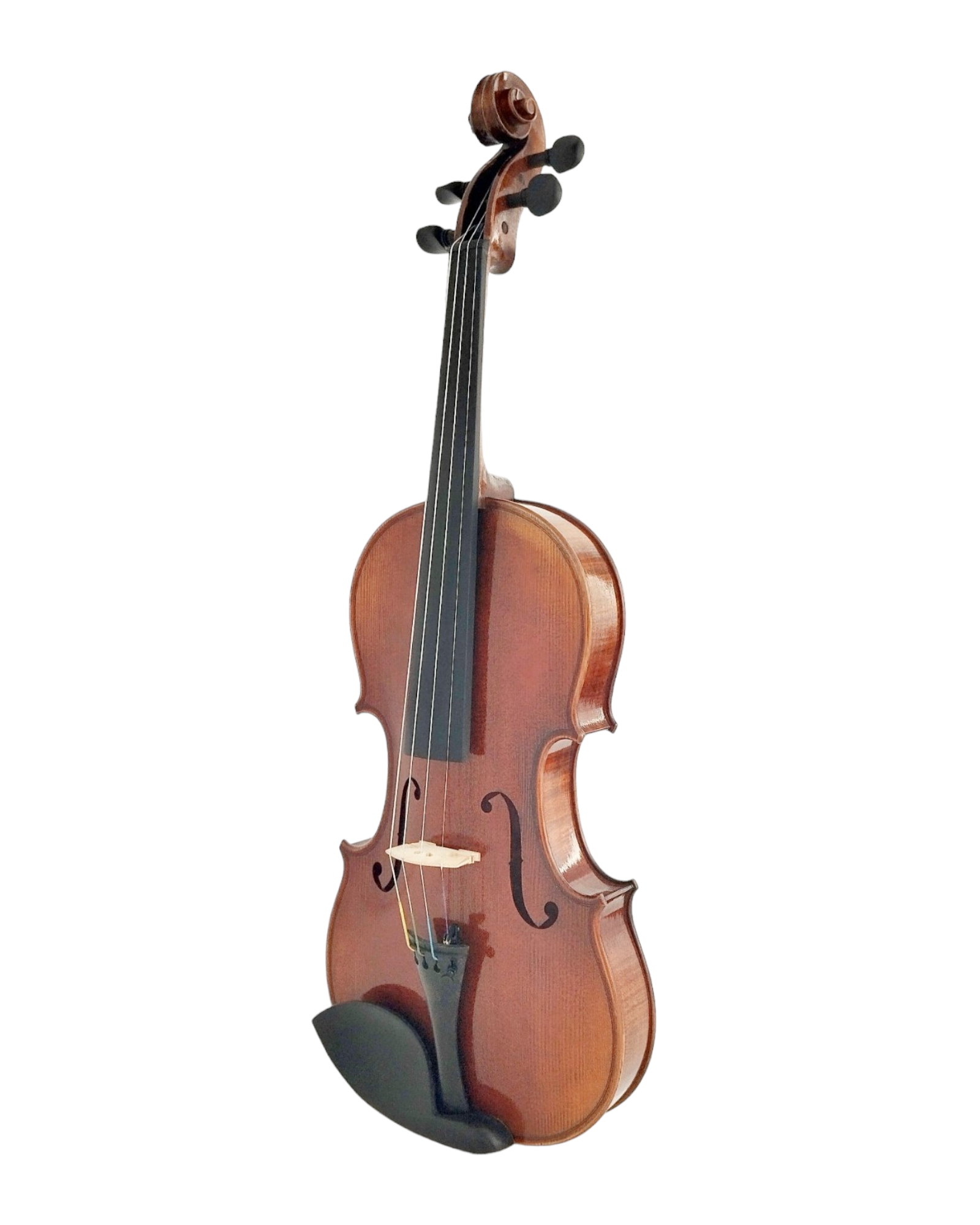 Full Size SRVA211443 Violin Outfit