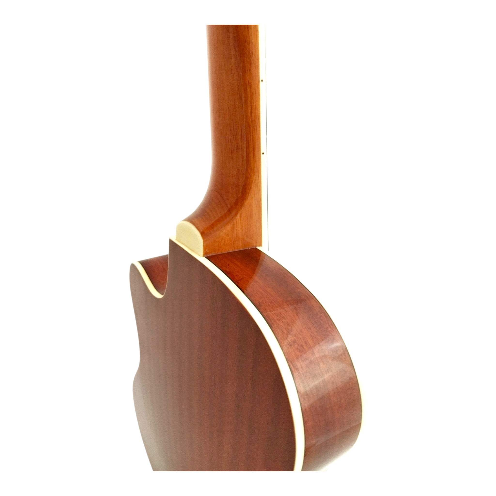 Caraya Spruce Thin-Body Cutaway Built-In Pickup/Tuner Classical Guitar - Sunburst C551BCEQBS