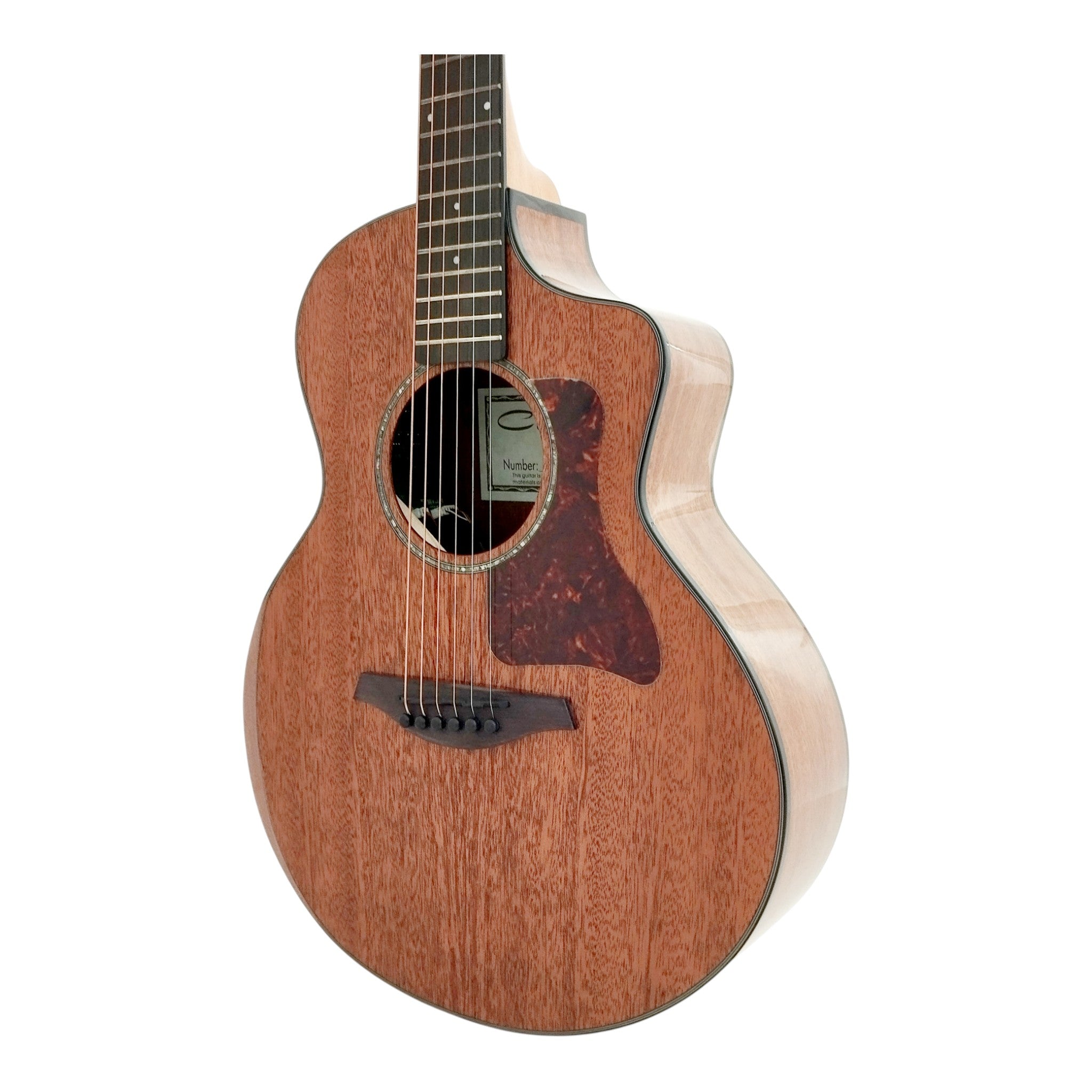 Caraya D36SAC All Mahogany Traveller Guitar