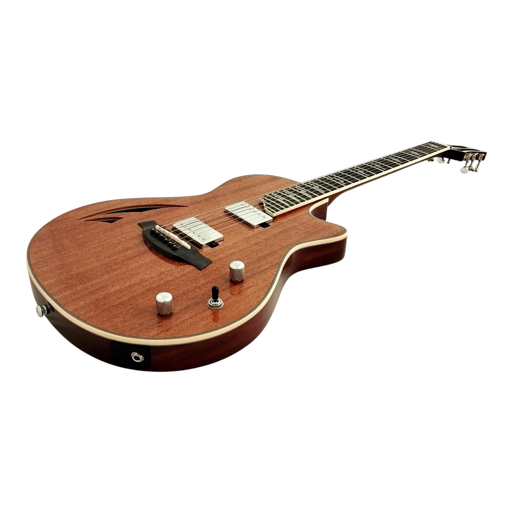 The Swiss Army Knife of Hybrid Electric-Acoustic Guitars w/ (Optional) Foam Case - MULTISPECIALIST2