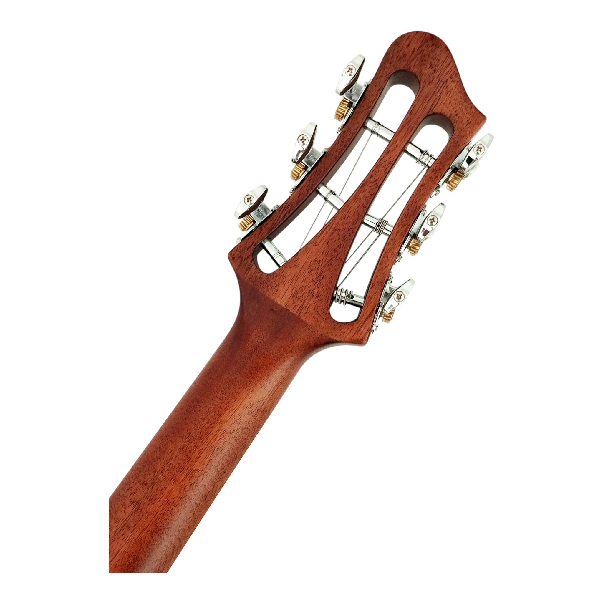 The Swiss Army Knife of Hybrid Electric-Acoustic Guitars w/ (Optional) Foam Case - MULTISPECIALIST2