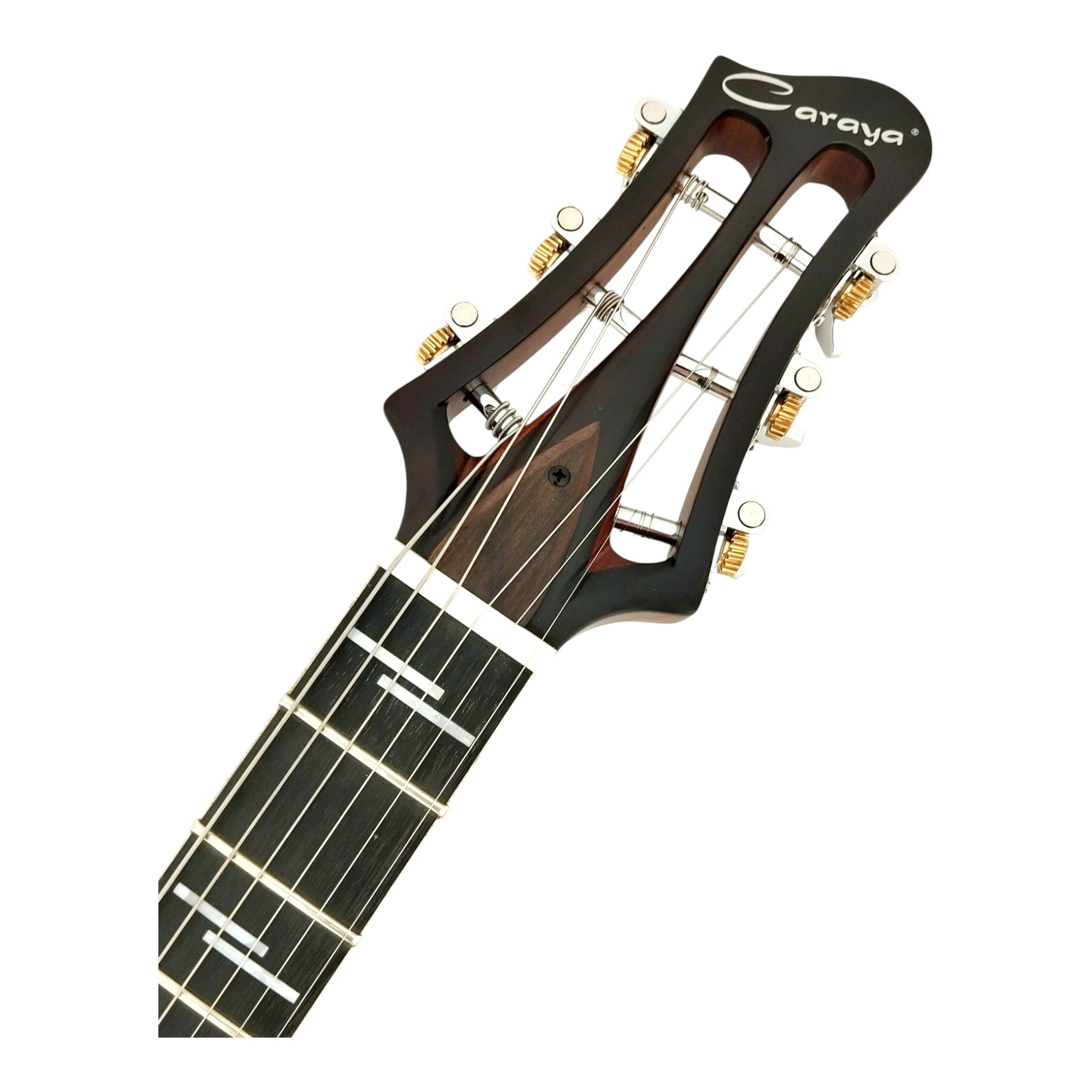The Swiss Army Knife of Hybrid Electric-Acoustic Guitars w/ (Optional) Foam Case - MULTISPECIALIST2