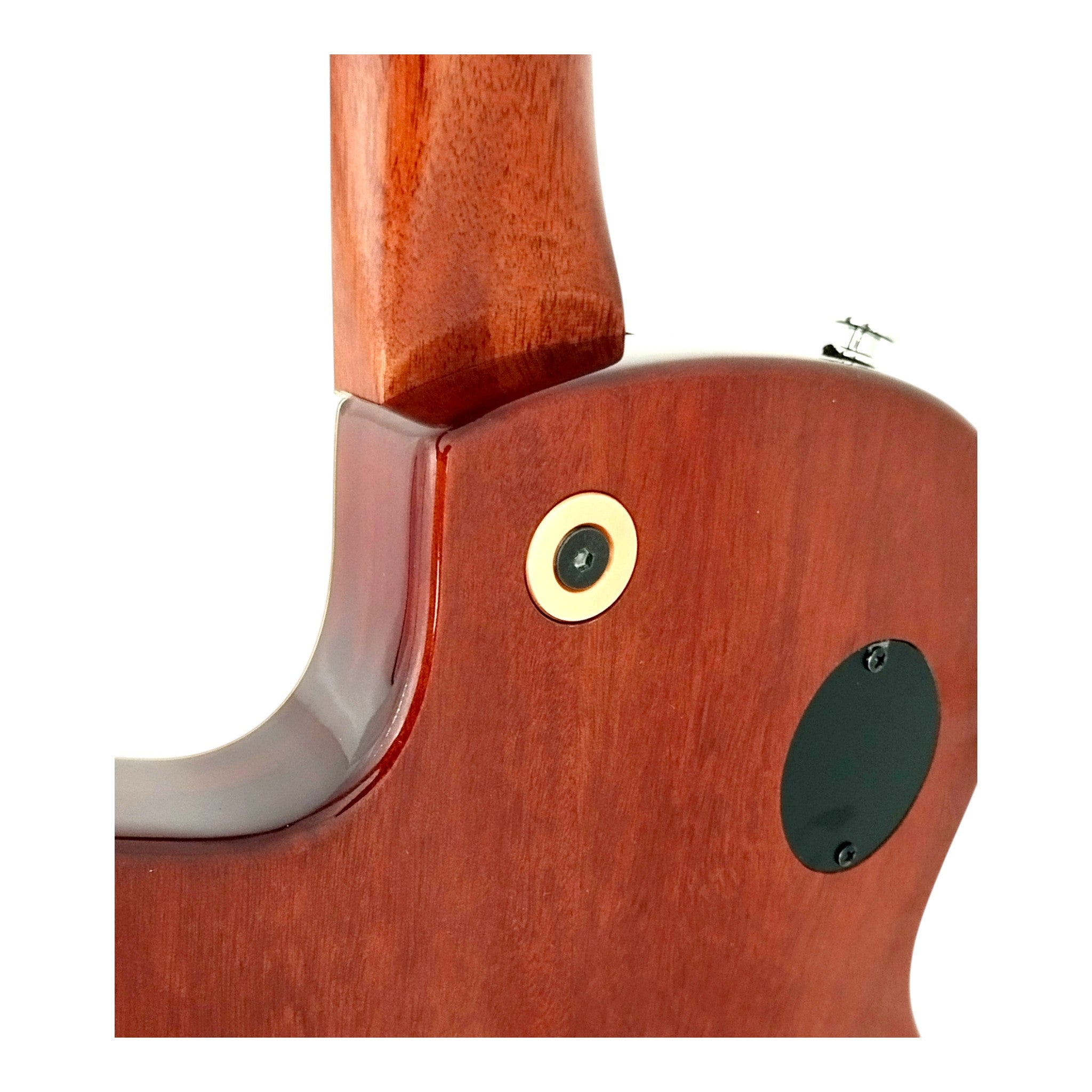 The Swiss Army Knife of Hybrid Electric-Acoustic Guitars w/ (Optional) Foam Case - MULTISPECIALIST2