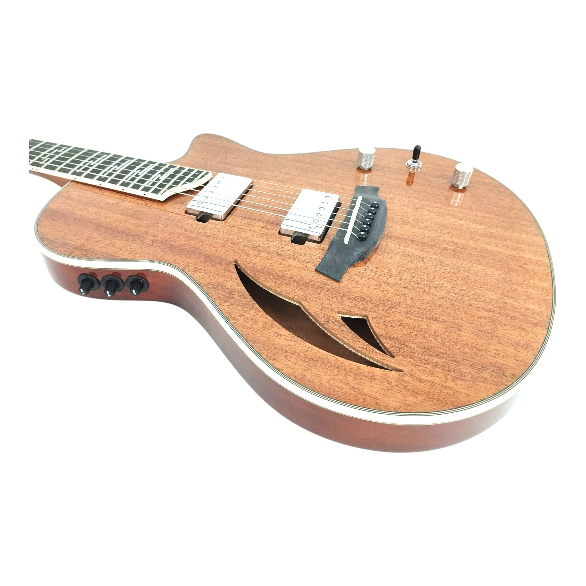 The Hybrid All-In-One Electric-Acoustic Guitar w/ (Optional) Foam Case - MULTISPECIALIST3