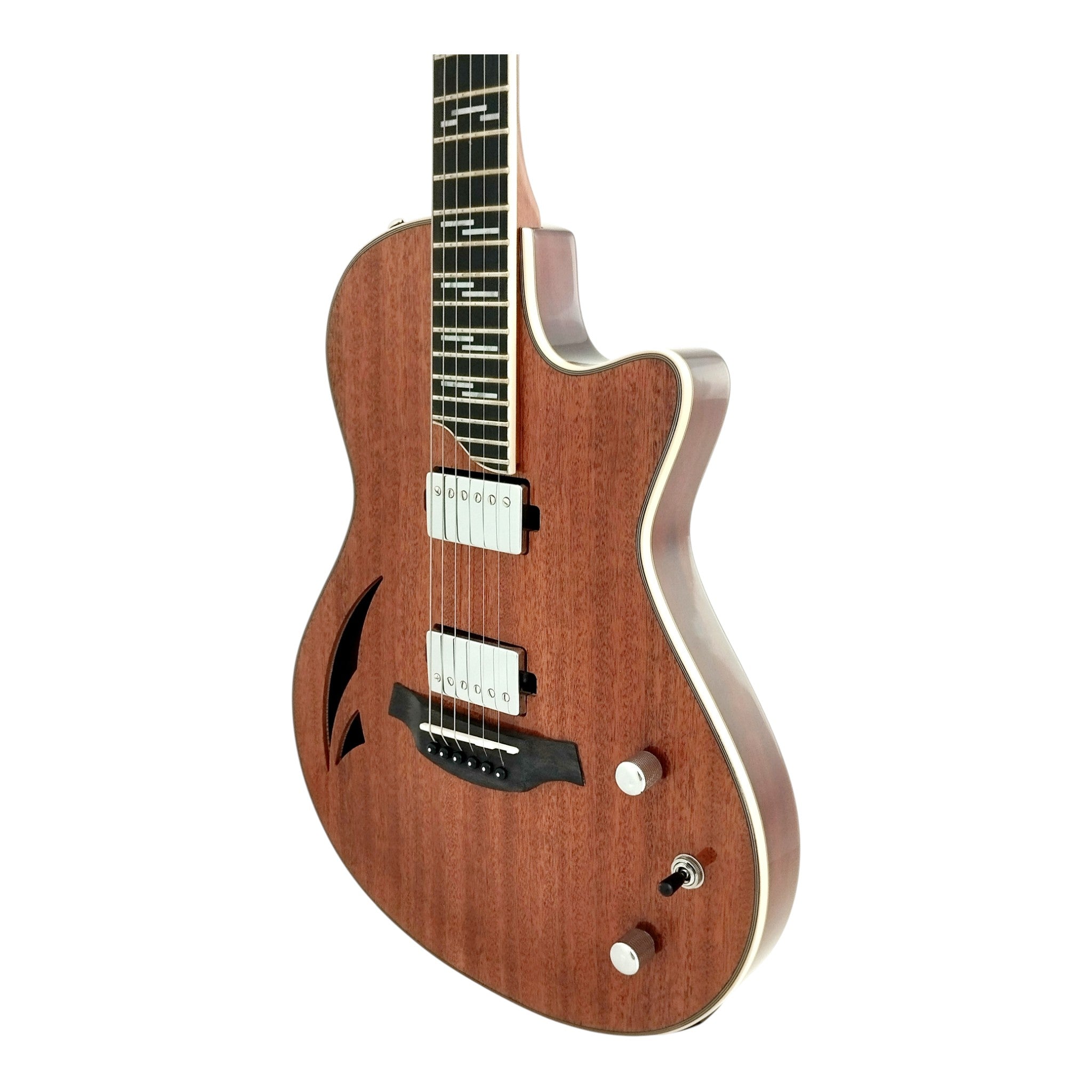 The Hybrid All-In-One Electric-Acoustic Guitar w/ (Optional) Foam Case - MULTISPECIALIST3