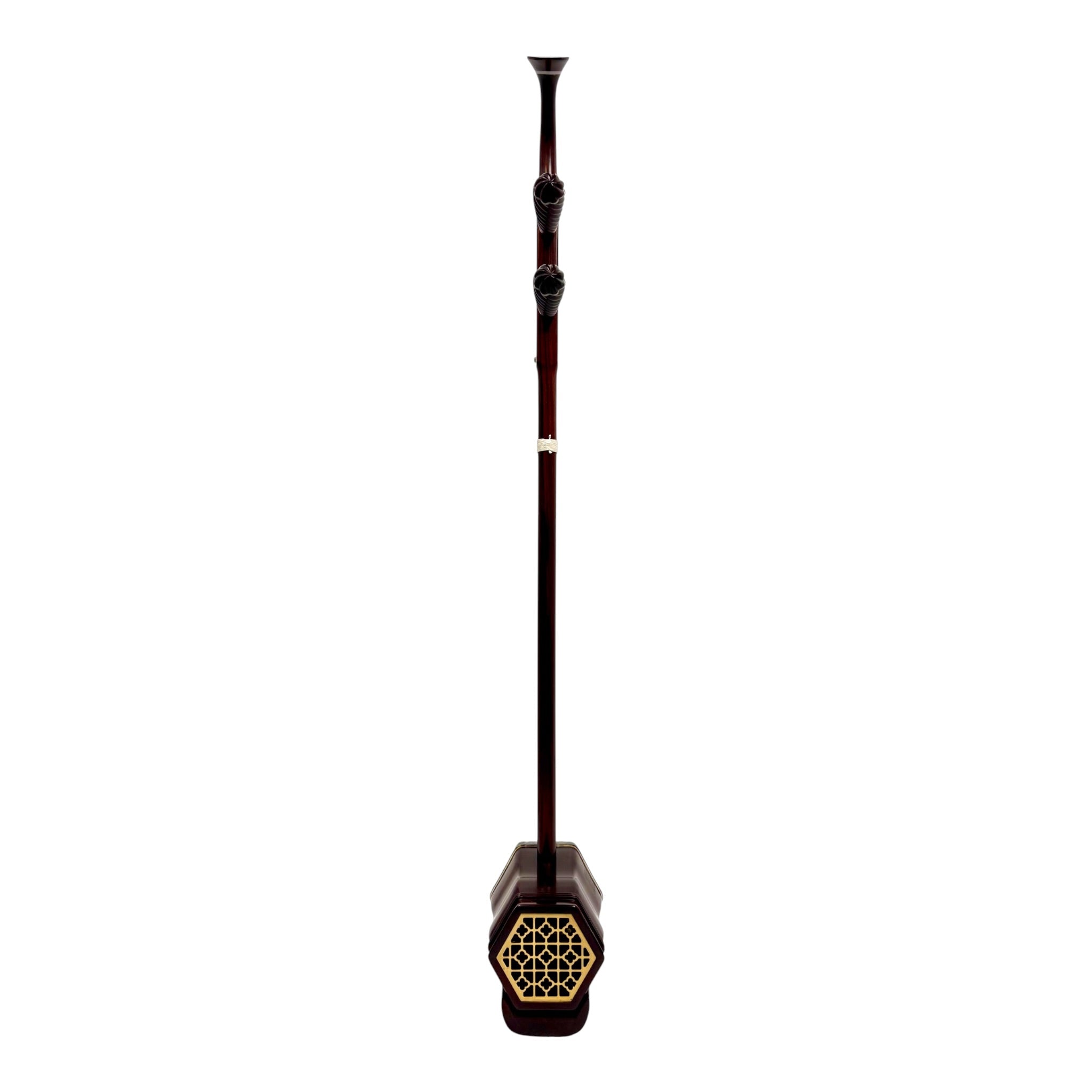 Coco CZ008 Professional-Grade Zitan Sandalwood Erhu Outfit with Hard Case & Accessories