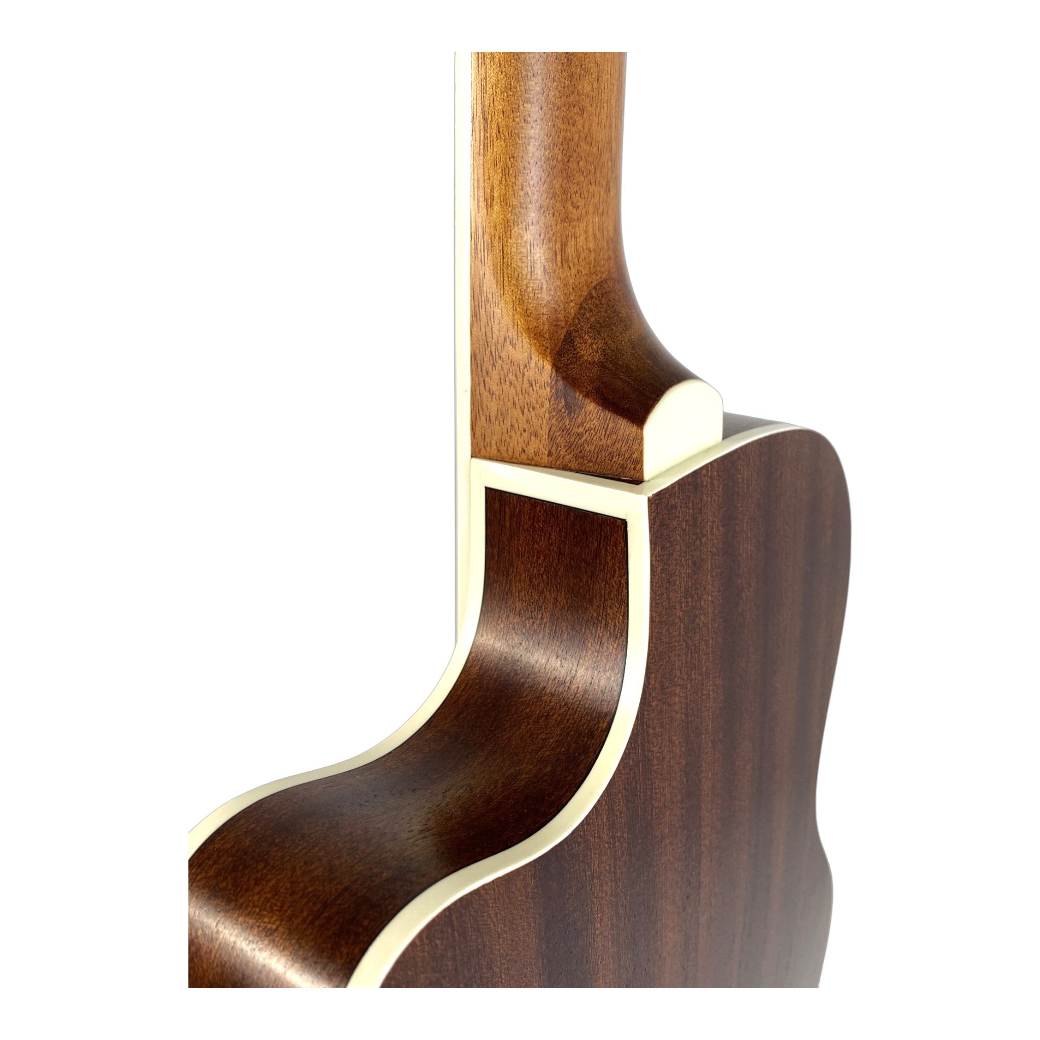 Haze Solid Spruce Fretless Arched Back Thin Body Classical Guitar w/ Built-In Pickups & Tuner in Matte - C551BCEQSMFL