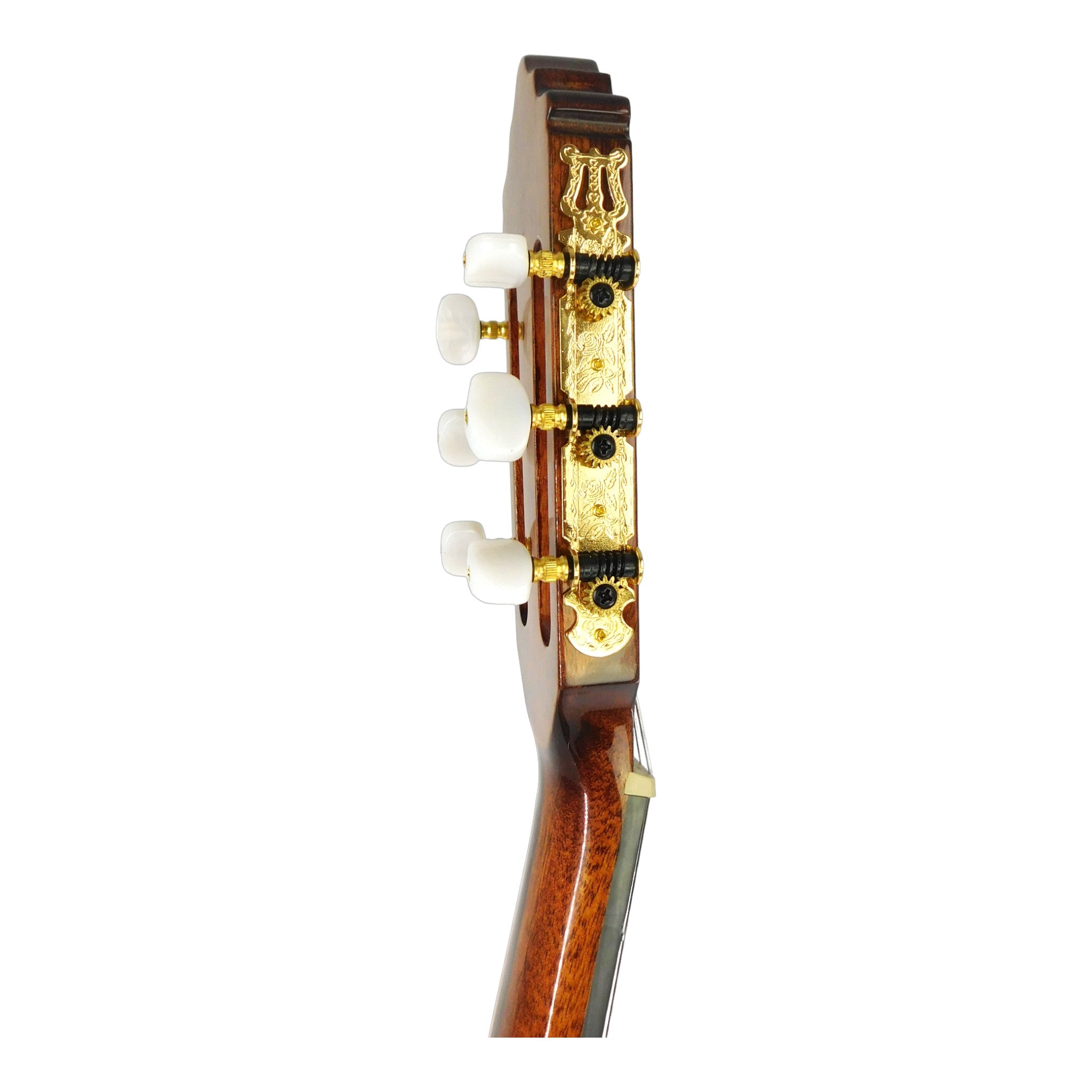 Miguel Rosales HS10CEQN Solid Canadian Cedar Cutaway Built-In Belcat Pickup/Tuner Classical Guitar - Natural