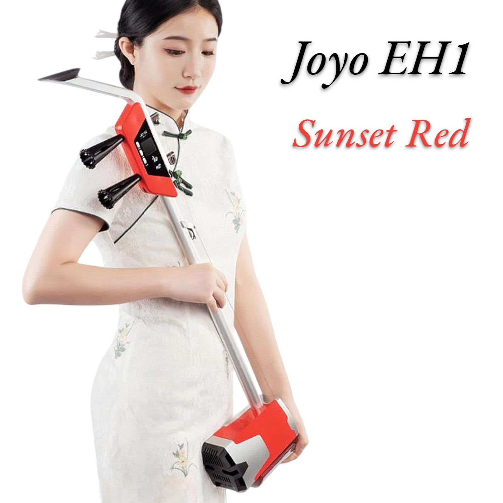 Joyo EH1 Professional Multifunctional Electric-Acoustic Erhu w/ Built-In Chromatic Tuner, 3-Band EQ, & Digital Effects