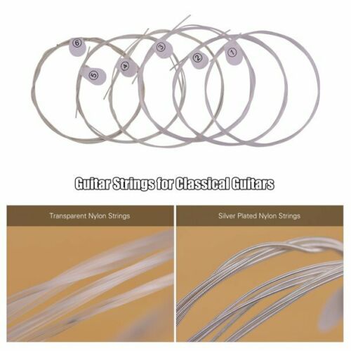 Haze DPA70 Classical Guitar Nylon Strings - Normal Tension + 3 Picks