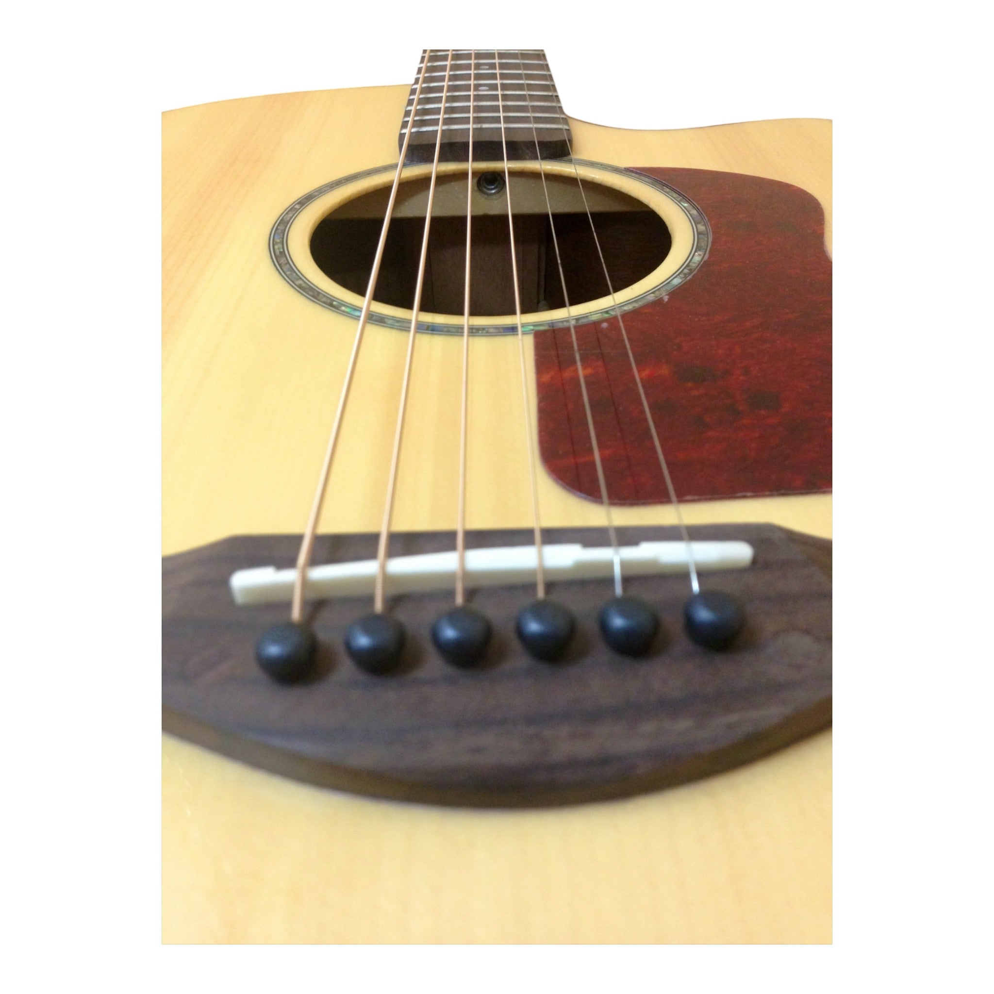 TKA TKA220CEQNT Solid Spruce Built-In Pickups/Tuner Acoustic Guitar - Natural